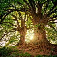 The Christian Story and History