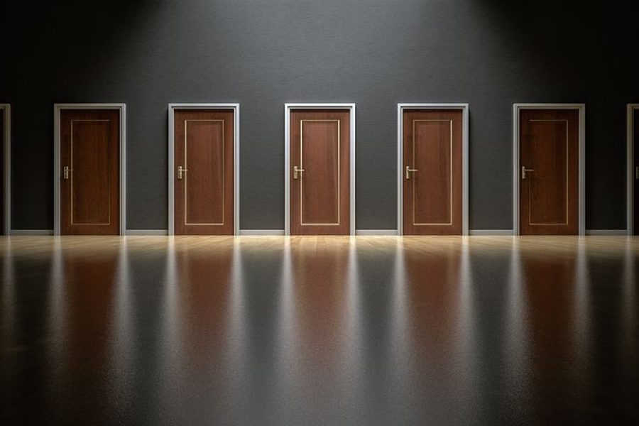 Eudo 7.9: Dealing with our Future: The Question of Human Destiny