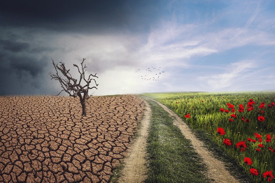 Eudo 8.7 Divine Power and the Power to Change